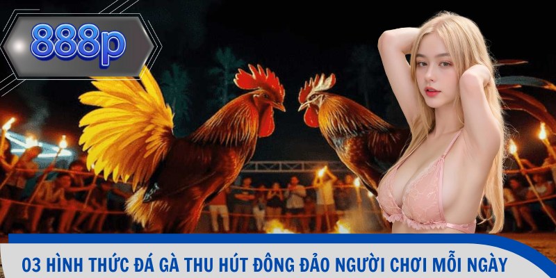 03 hình thức đá gà thu hút đông đảo người chơi mỗi ngày