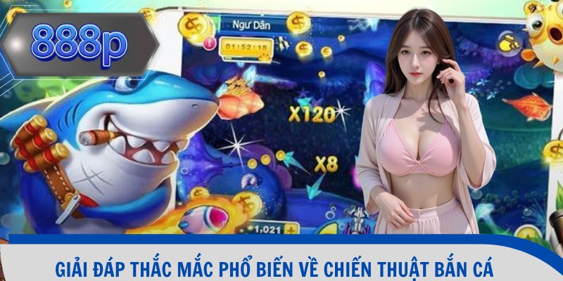 Giải đáp thắc mắc phổ biến về chiến thuật bắn cá