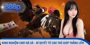 Kinh nghiệm chơi đá gà